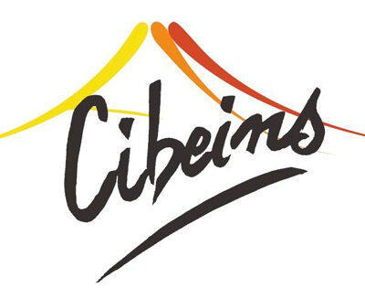 logo-ufa-cibeins.jpg