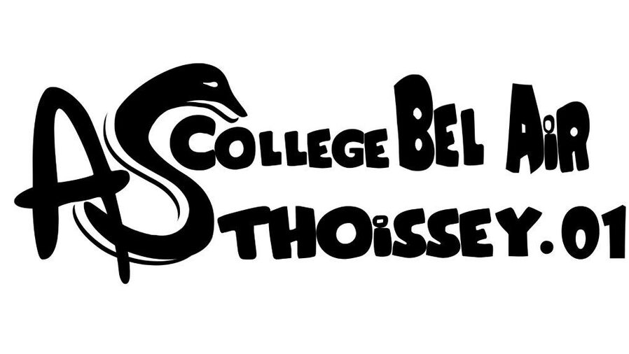 Logo AS Thoissey.JPG